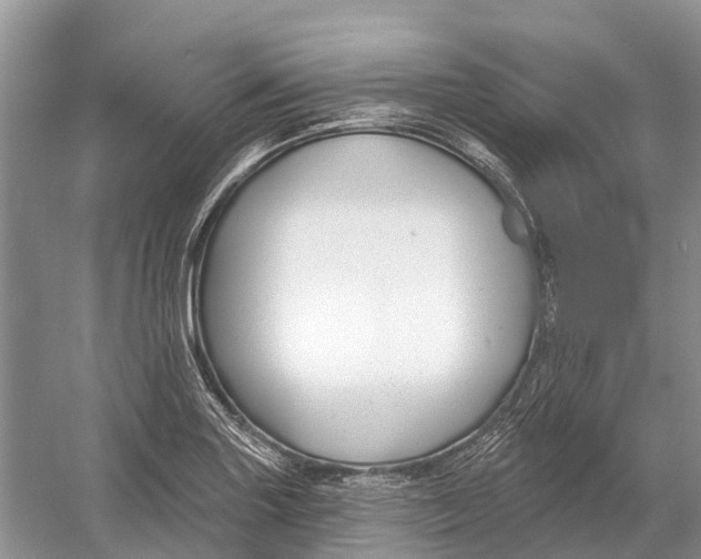 X0000052941227200508050847