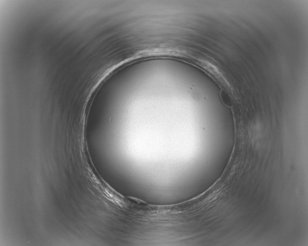 X0000052941228200508050847