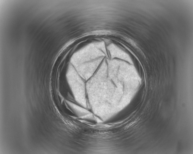 X0000052941229200508050847