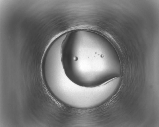 X0000052941230200508050847