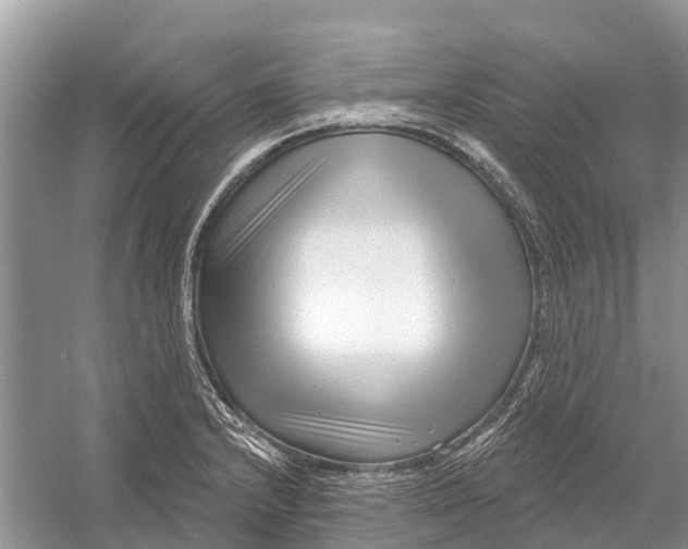 X0000052941232200508050847