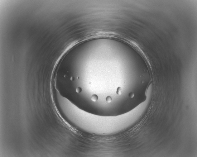 X0000052941235200508050847