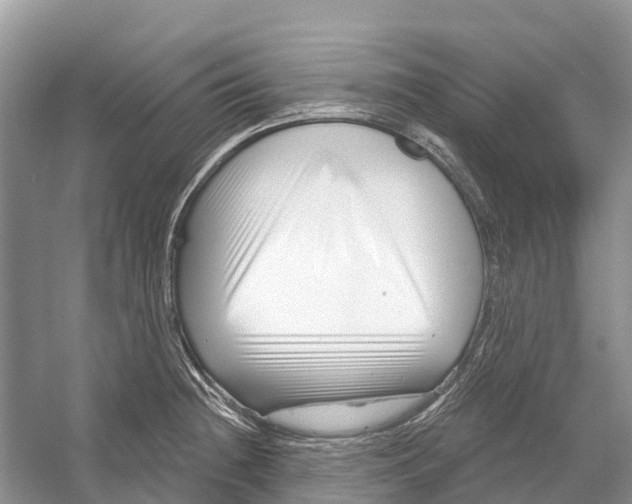 X0000052941236200508050847