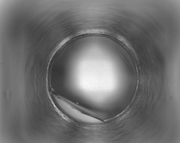 X0000052941237200508050847