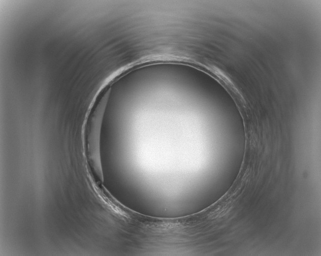 X0000052941238200508050847