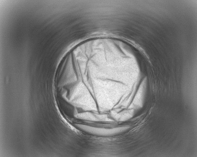 X0000052941239200508050847