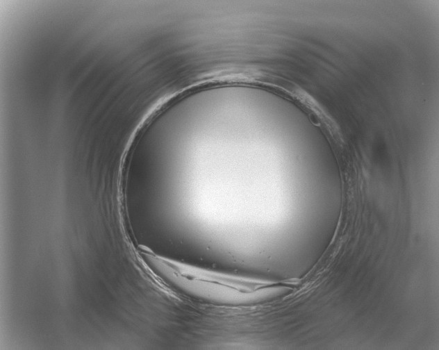 X0000052941240200508050847