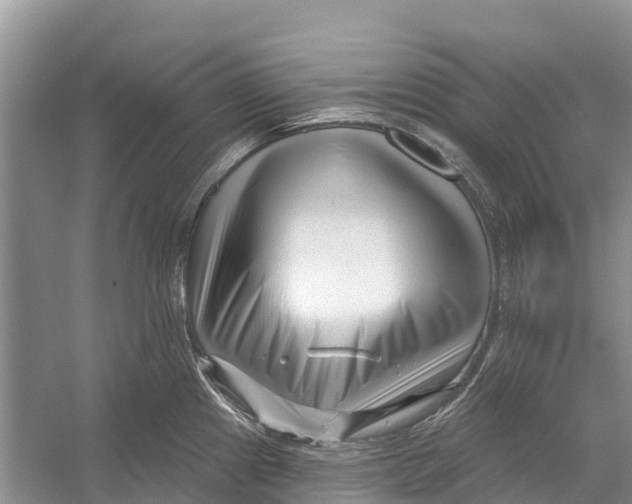 X0000052941241200508050847