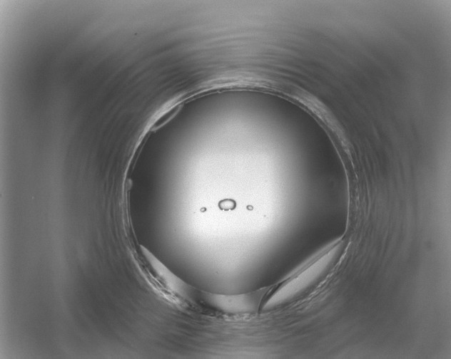 X0000052941242200508050847