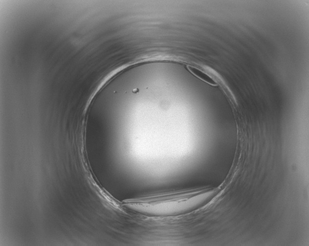 X0000052941244200508050847