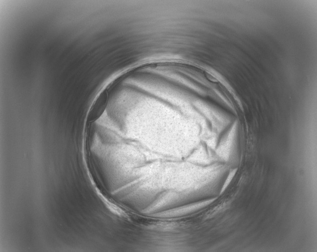 X0000052941245200508050847