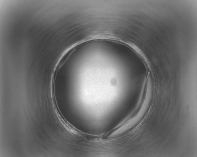 X0000052941246200508050847