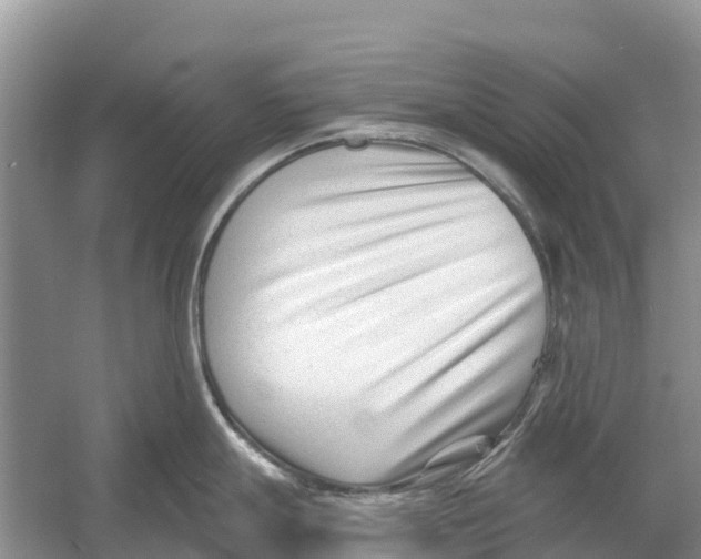 X0000052941247200508050847