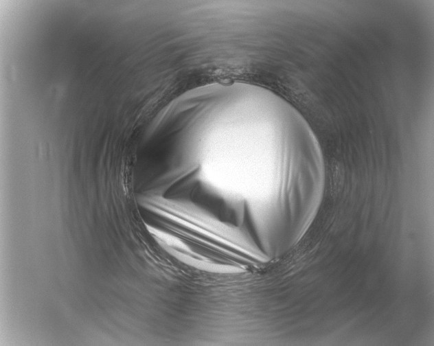 X0000052941250200508050846