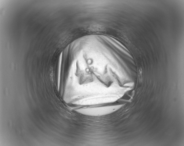 X0000052941251200508050846