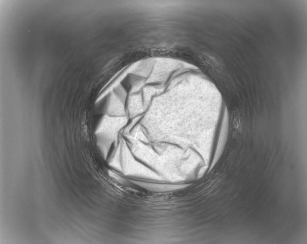 X0000052941252200508050846