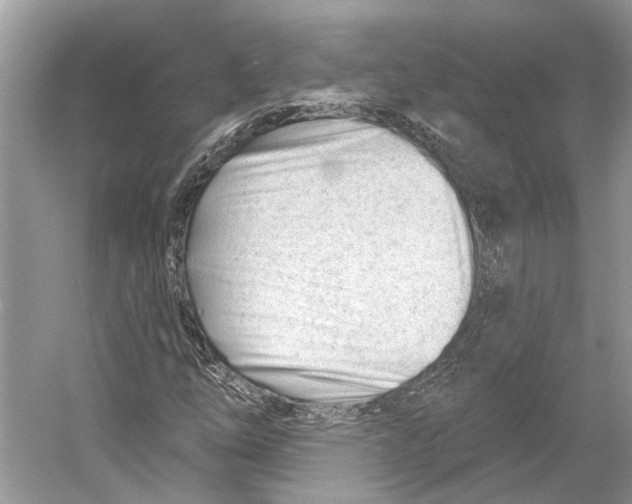 X0000052941254200508050846