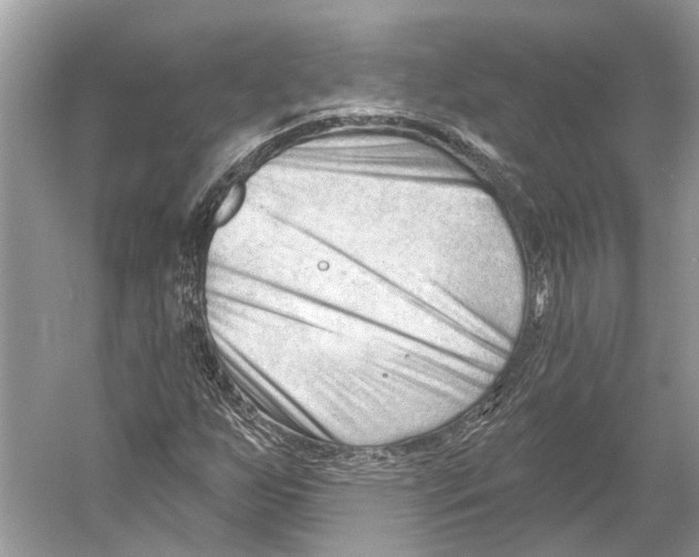 X0000052941255200508050846