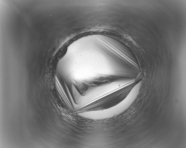 X0000052941256200508050846