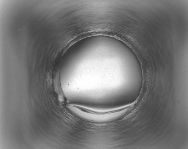 X0000052941257200508050846