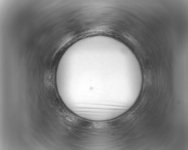 X0000052941258200508050846