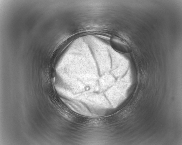 X0000052941259200508050846