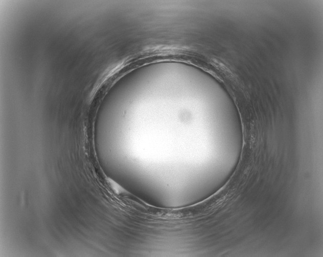 X0000052941261200508050846