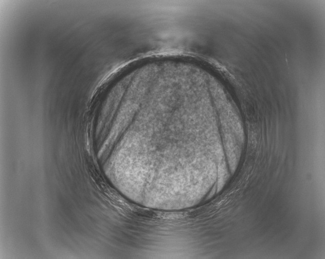 X0000052941262200508050846