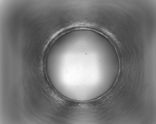 X0000052941264200508050846