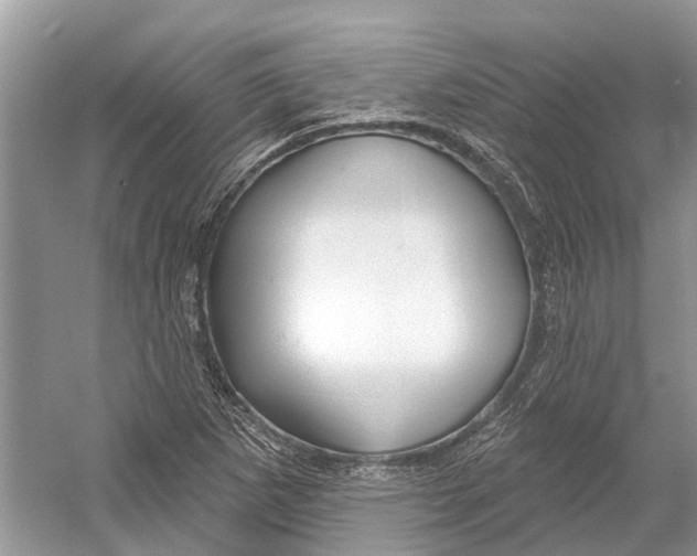 X0000052941265200508050846