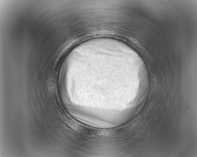 X0000052941266200508050846