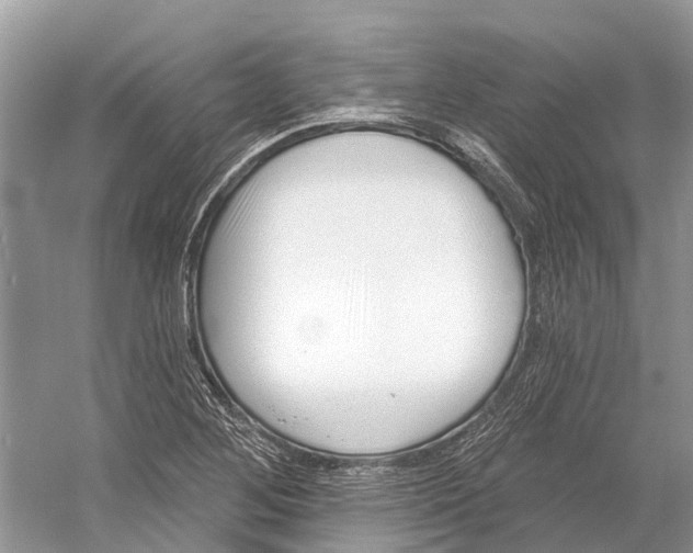 X0000052941268200508050846