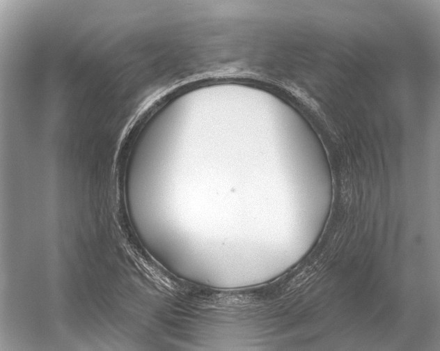 X0000052941270200508050846