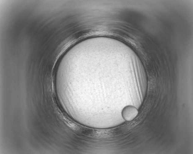 X0000052941274200508050846