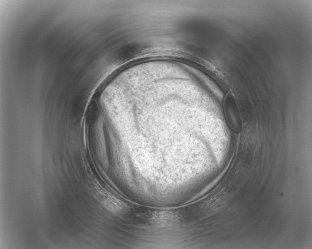 X0000052941275200508050846