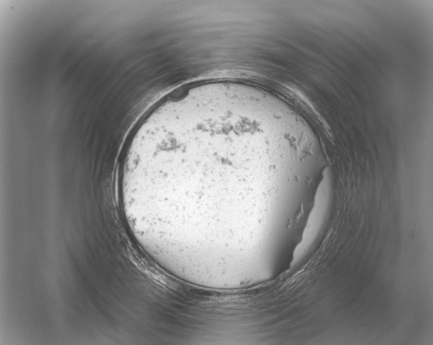 X0000052941276200508050846