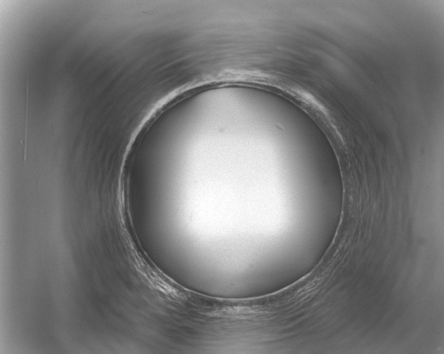 X0000052941280200508050846