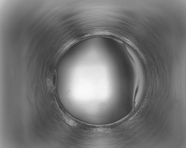 X0000052941281200508050846