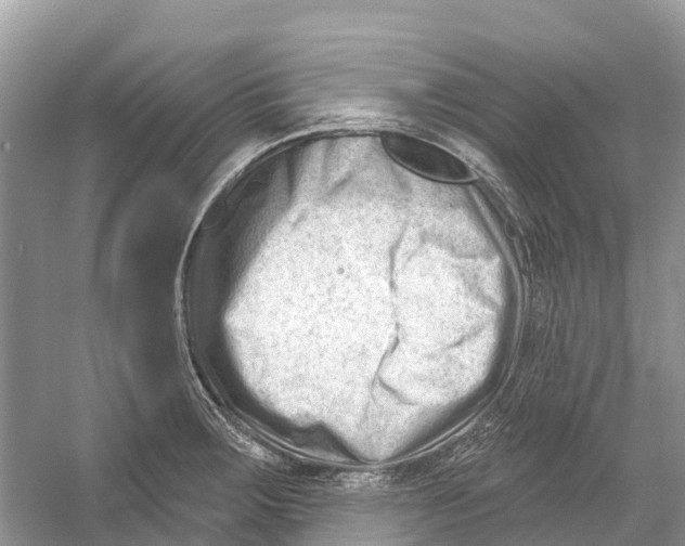 X0000052941283200508050846