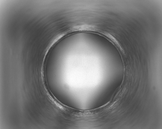 X0000052941285200508050846