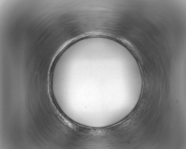 X0000052941286200508050846