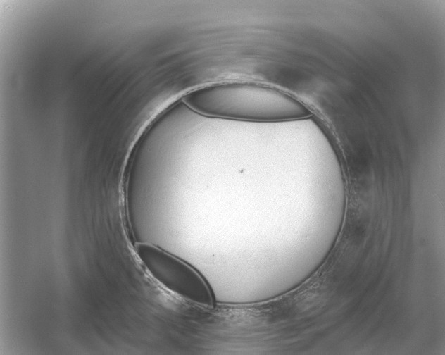 X0000052941287200508050846