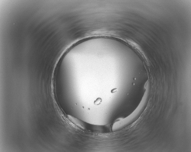 X0000052941288200508050846