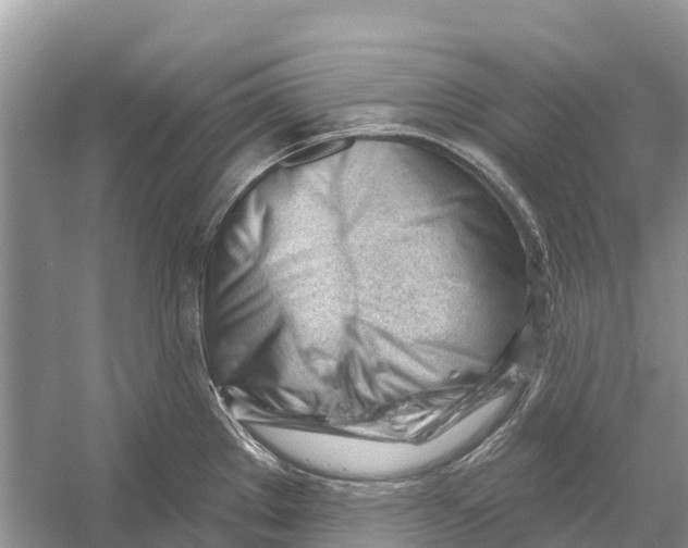 X0000052941289200508050846