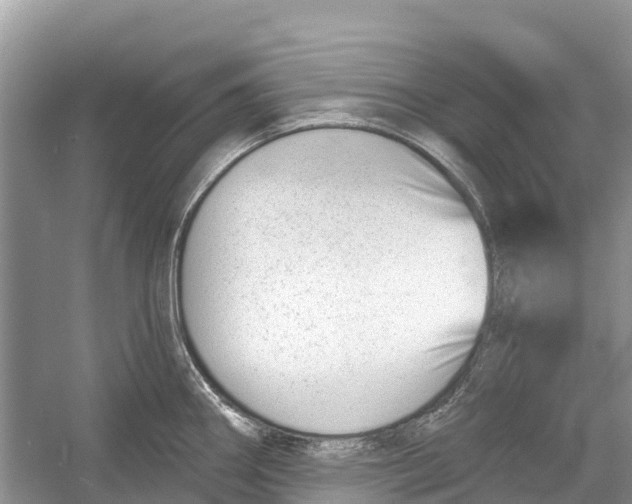 X0000052941290200508050846