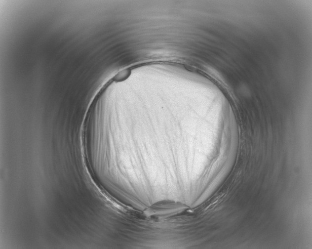 X0000052941291200508050846