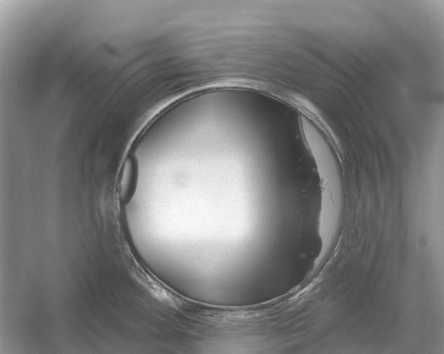 X0000052941292200508050846