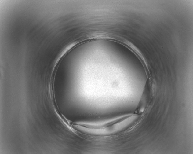 X0000052941293200508050846