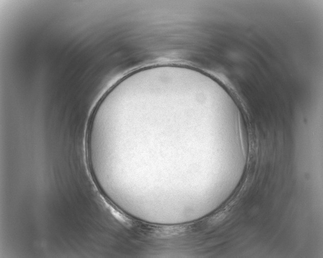 X0000052941294200508050846