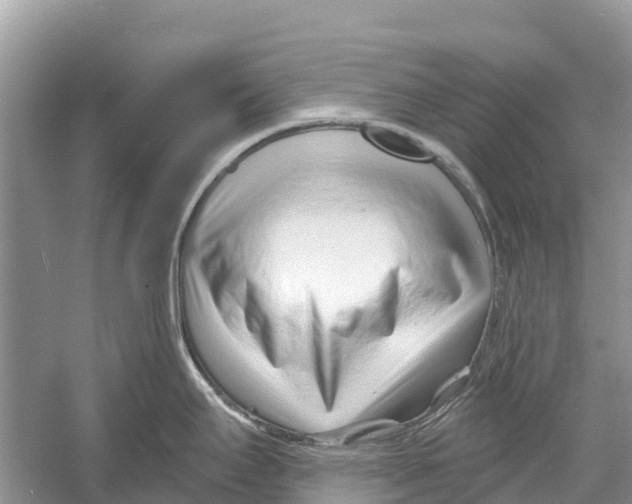 X0000052941295200508050846